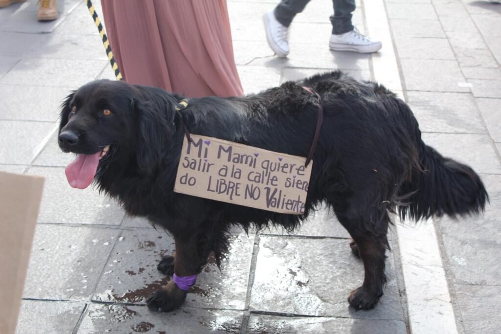 WhatsApp Image 2026 03 09 at 3.01.41 PM